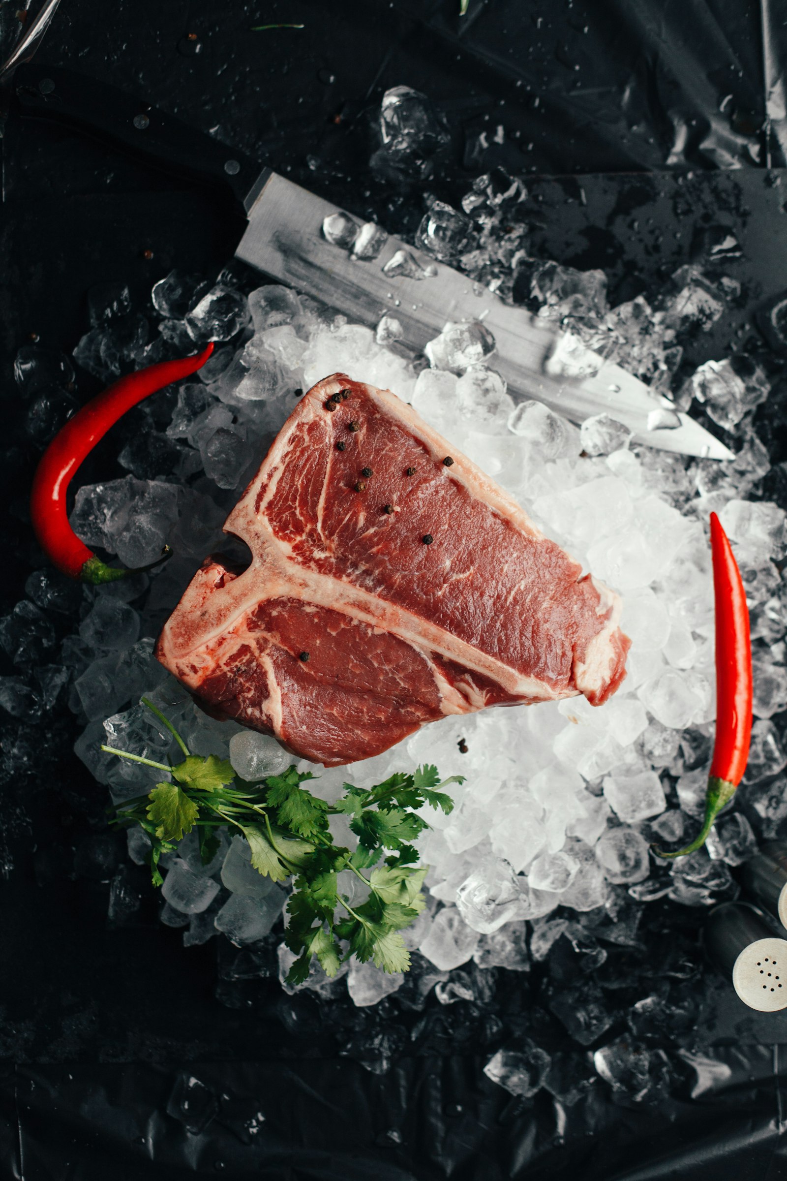 Dark cinematic T-bone steak on ice